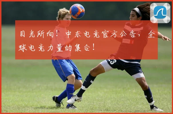 目光所向!中东电竞官方公告,全球电竞力量的集合!